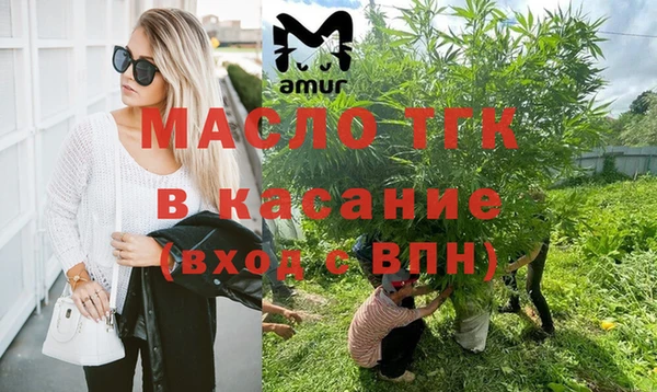 гидра Горнозаводск