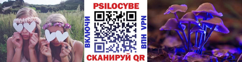 Псилоцибиновые грибы GOLDEN TEACHER  Завитинск 